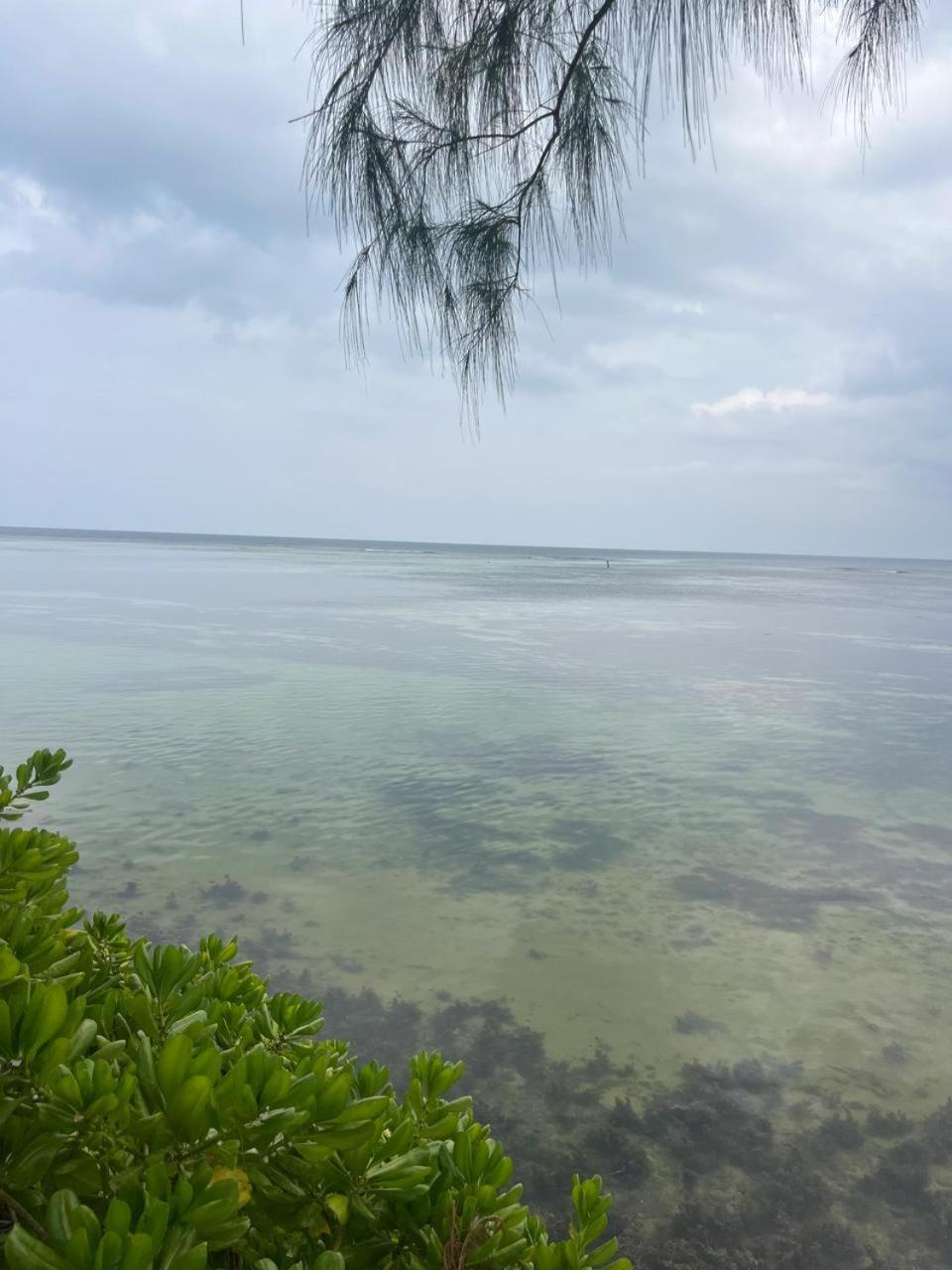 Le Chateau Bleu 3* Anse aux Pins